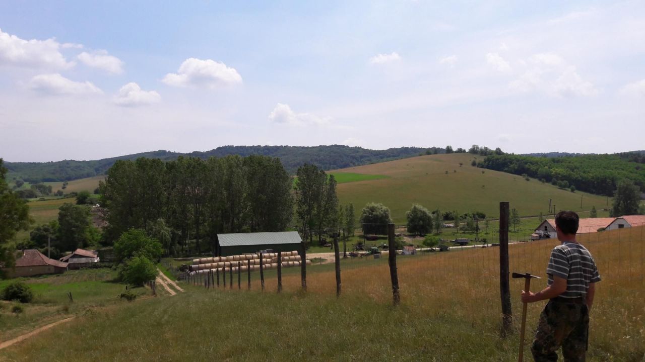 Ферма Iliny, Венгрия, 330 000 м2 фото 2