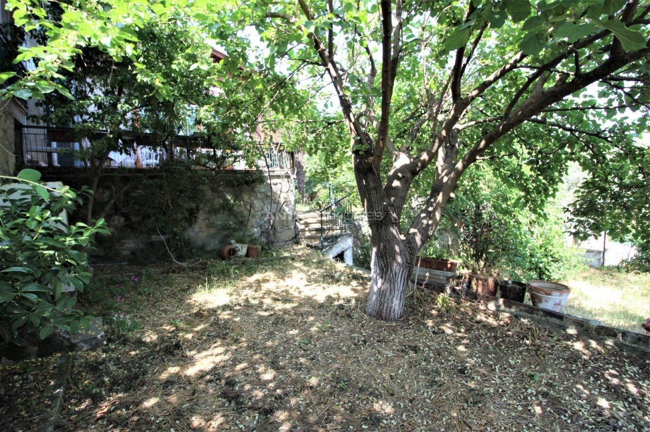 Ферма Дарыджа, Турция, 320 м2 фото 2