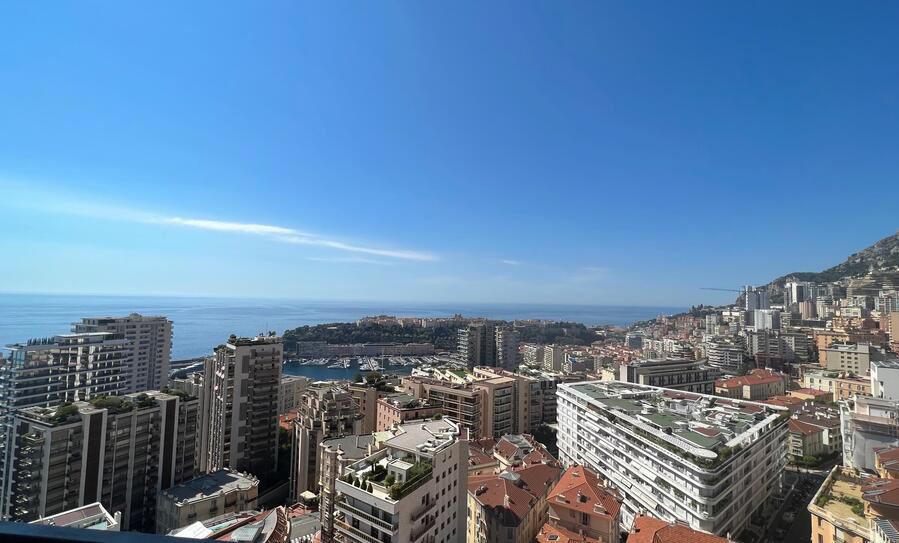 Апартаменты в Монте Карло, Монако, 110 м2 фото 1