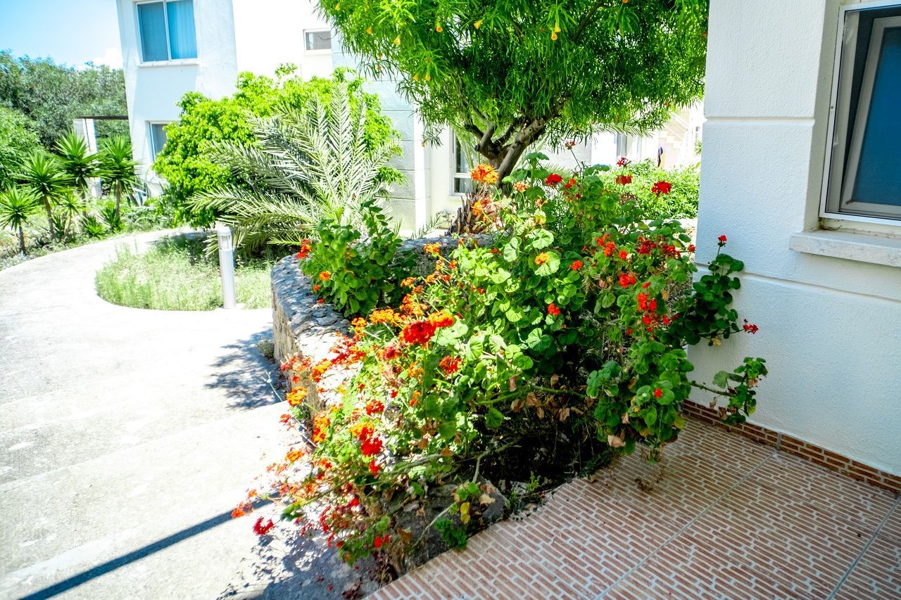Апартаменты в Эсентепе, Кипр, 97 м2 фото 3