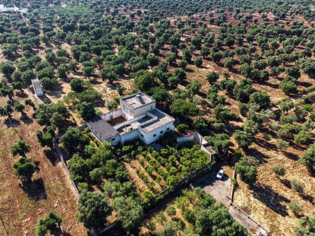 Поместье в Остуни, Италия, 550 м2 фото 3