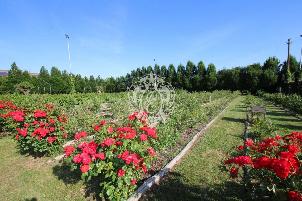 Вилла Oleggio, Италия, 700 м2 фото 5
