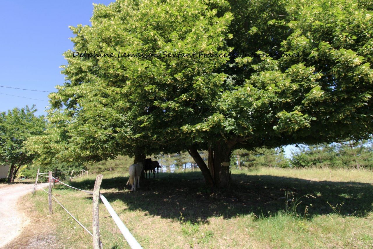 Дом в Ло и Гаронне, Франция фото 3