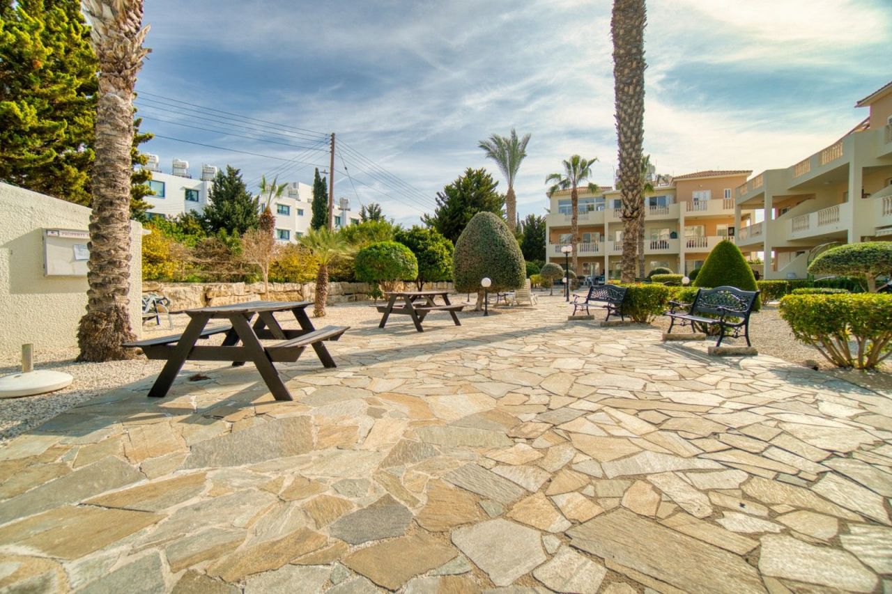 Апартаменты в Пафосе, Кипр фото 4