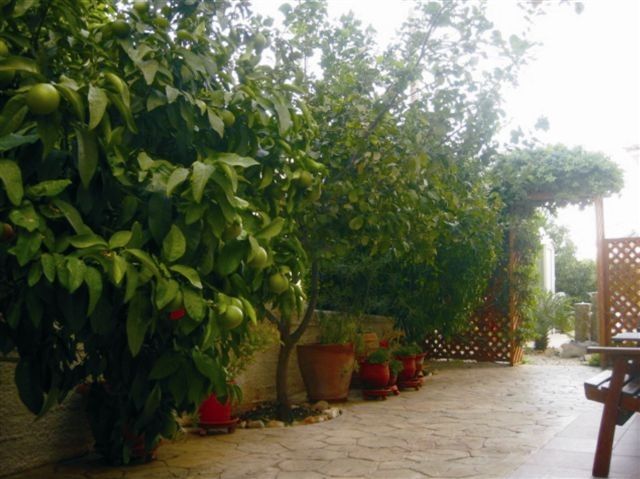 Вилла в Пафосе, Кипр, 145 м2 фото 4