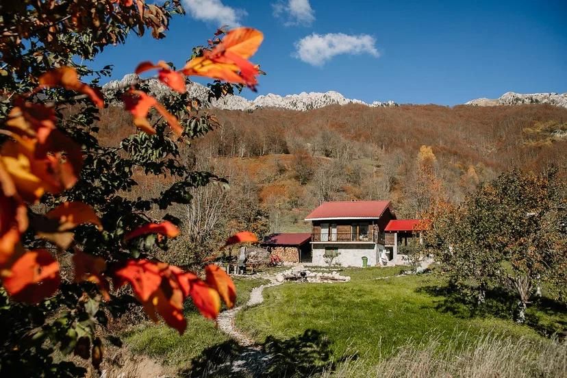 Шале в Колашине, Черногория, 168 м2 фото 2