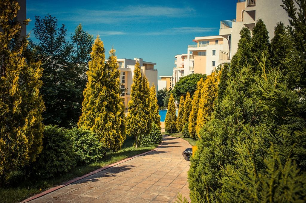 Апартаменты на Солнечном берегу, Болгария, 64.65 м2 фото 4