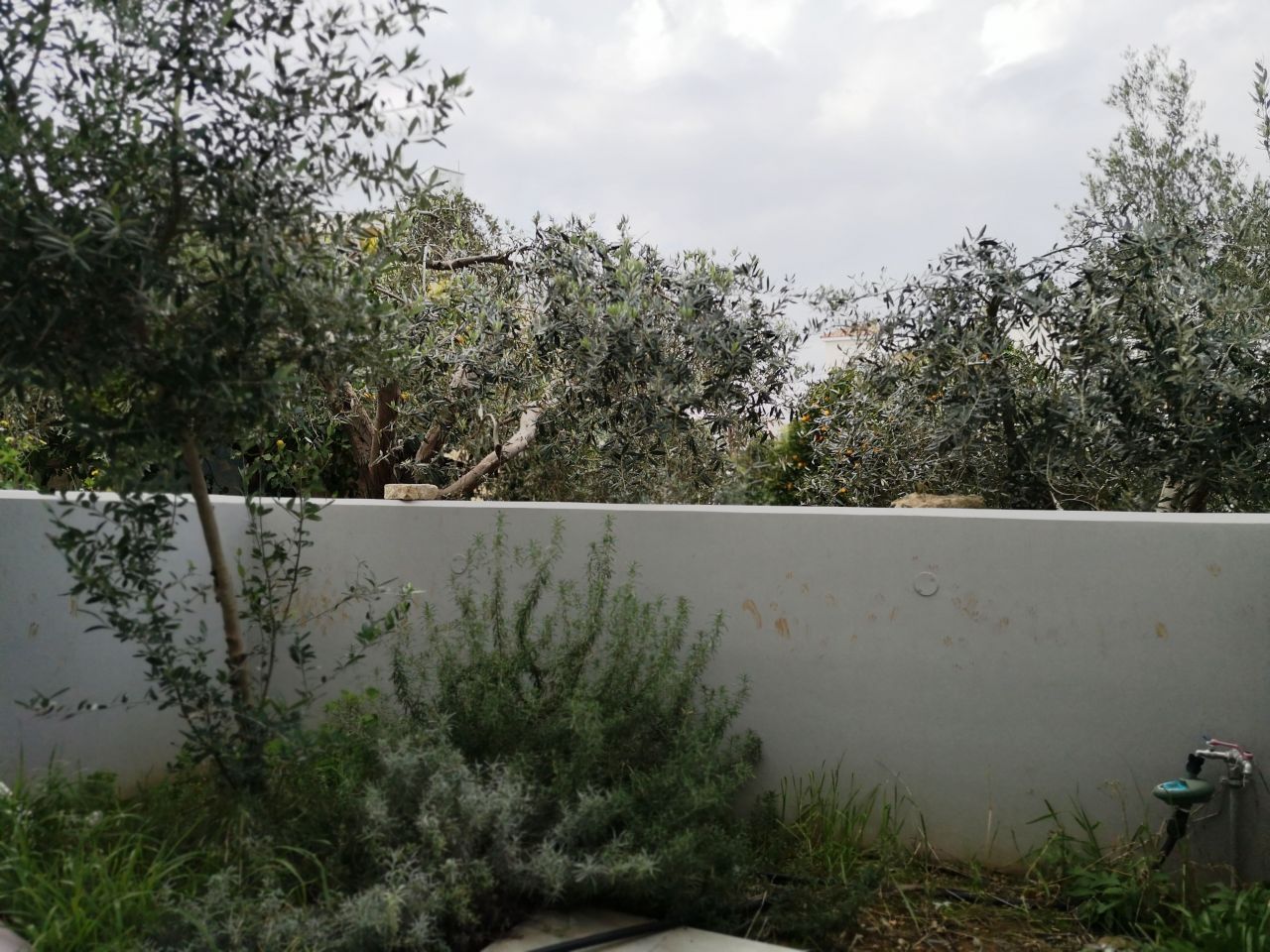 Таунхаус в Лимасоле, Кипр, 115 м2 фото 2