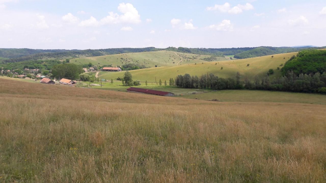 Ферма Iliny, Венгрия, 330 000 м2 фото 3