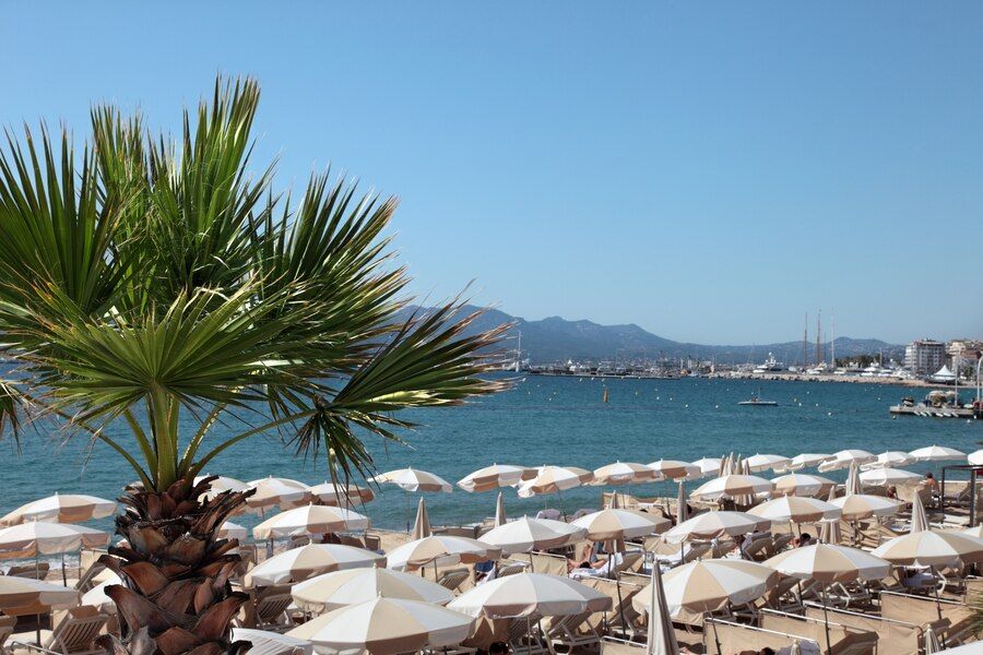 beachfront-scene-cannes-france_1147-579.jpg