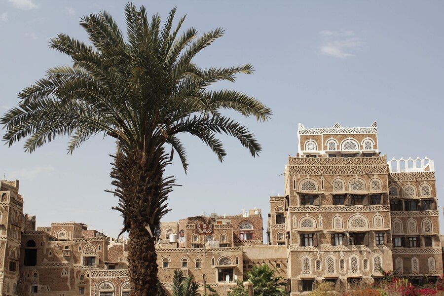 buildings-surrounded-by-palm-trees-sunlight-daytime-sana-yemen_181624-45828.jpg