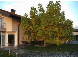Дом в Домжале, Словения, 518 м2