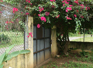 Дом в Сосуа, Доминиканская Республика, 50 м2