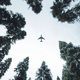 Екатеринбург встречает туристов из ОАЭ — что это значит для Урала?
