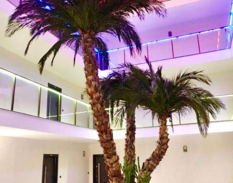 gallery