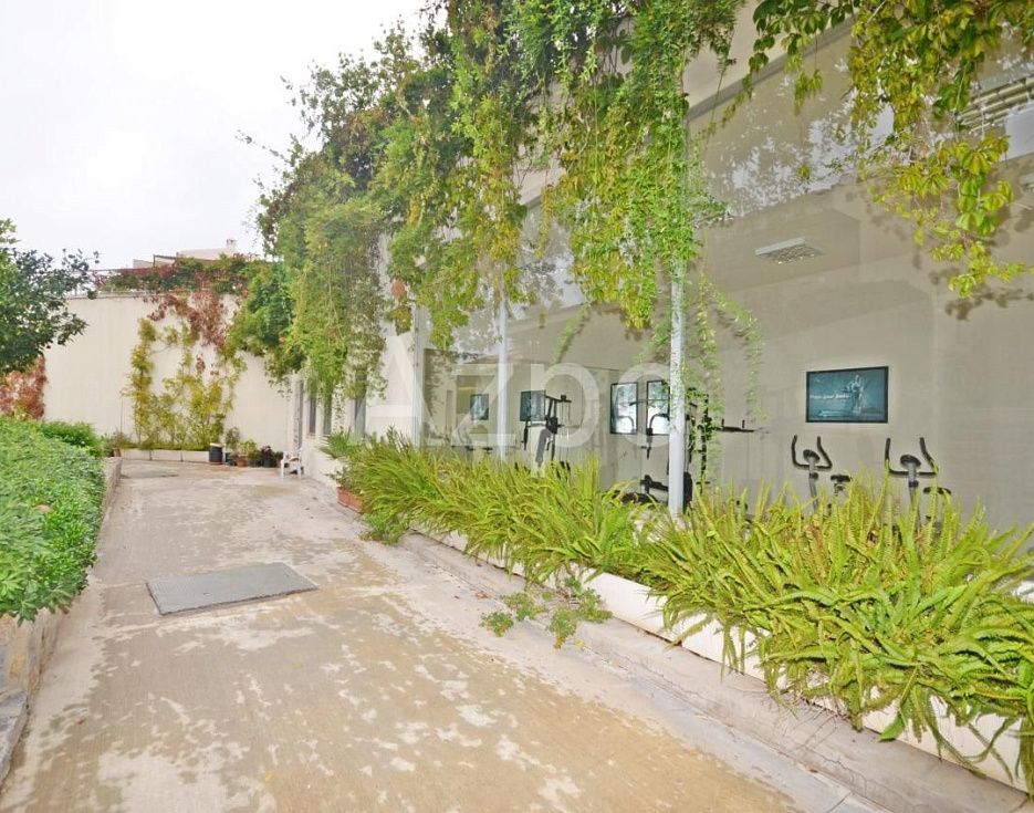 gallery