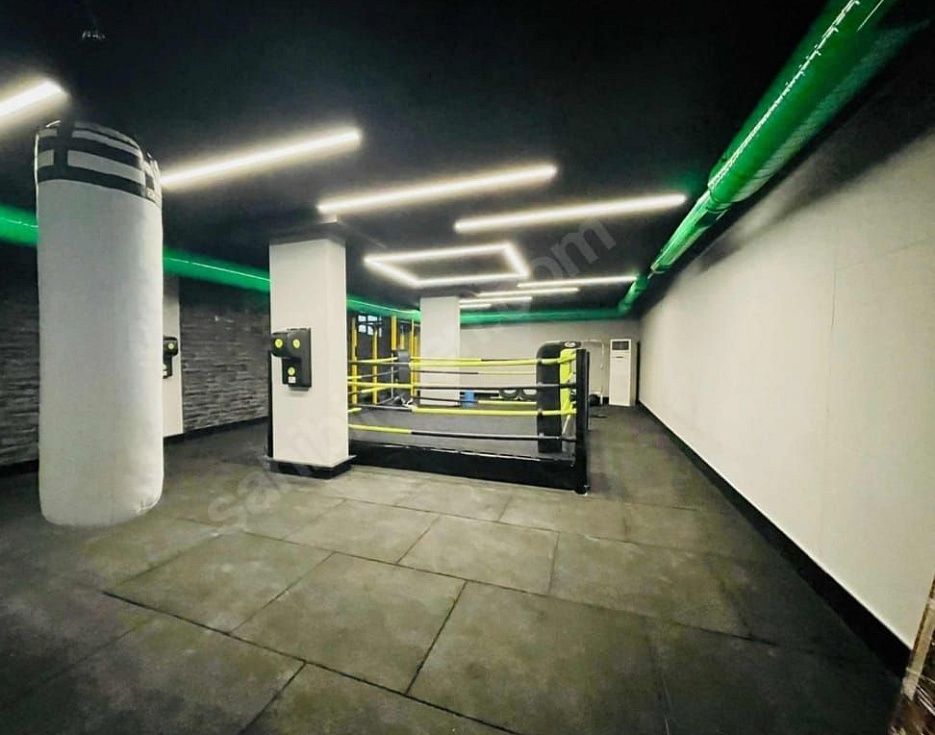 gallery
