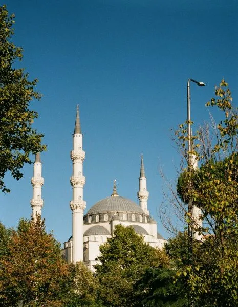 Тирана