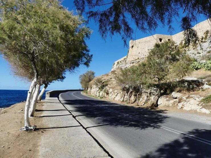 road-by-trees-against-blue-sky_1048944-28985668.jpg road-by-trees-against-blue-sky_1048944-28985668.jpg