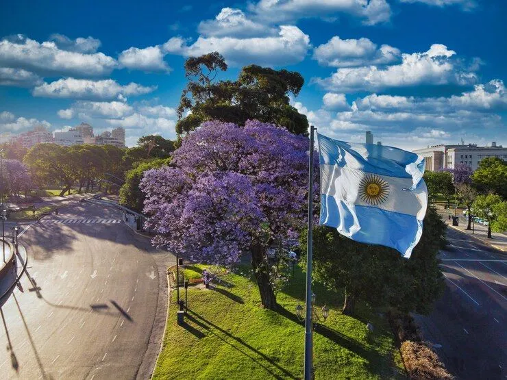 argentine-flag-flying-with-jacaranda-tree_686512-401.jpg