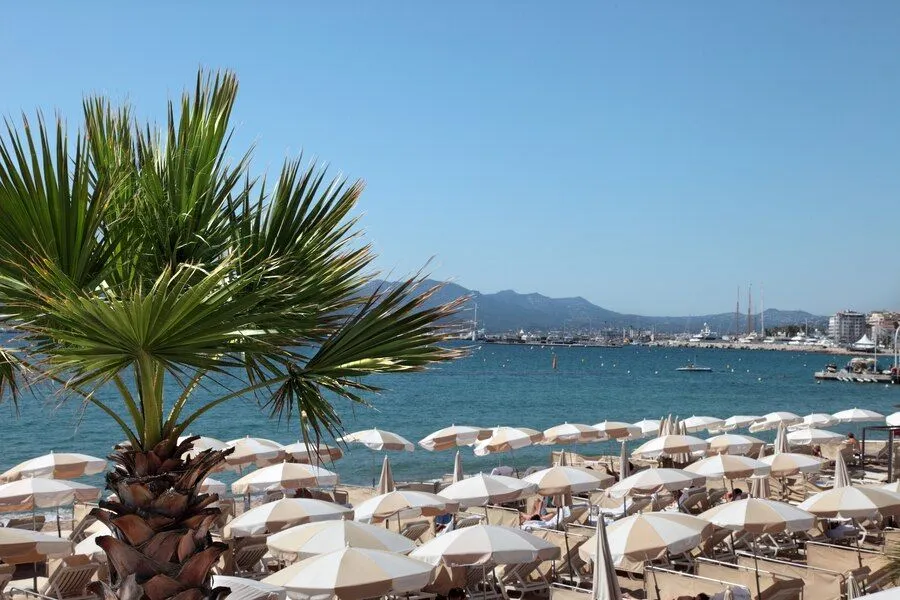 beachfront-scene-cannes-france_1147-579.jpg