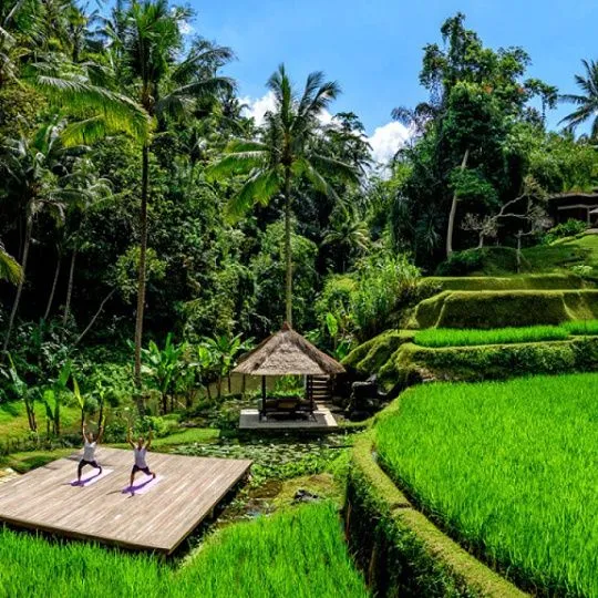 Экология на Бали